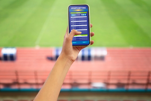 ставки на спорт с нуля